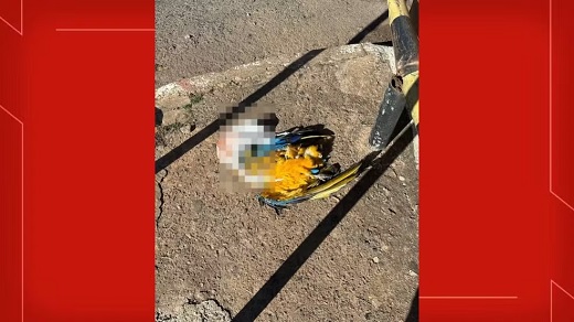23 07 2025 flagranteararamortaemTaguatinga